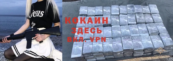 трава Осинники