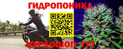 дурь Абинск