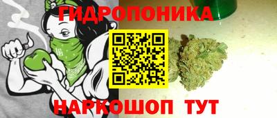 индика Азнакаево