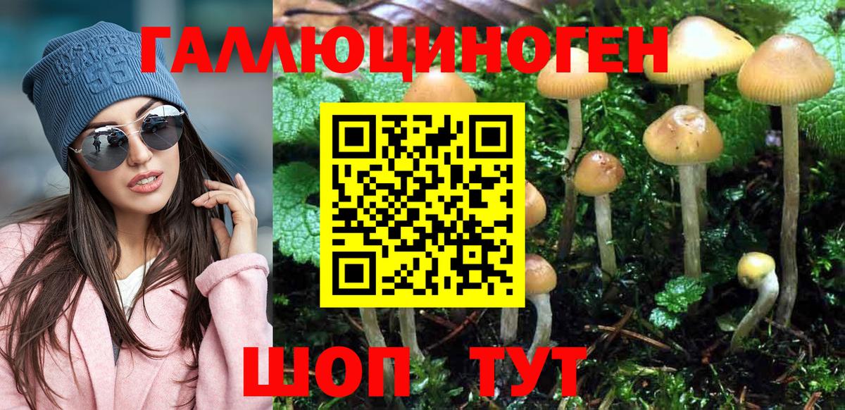 Алексин  Галлюциногенные грибы GOLDEN TEACHER  Вход с VPN 