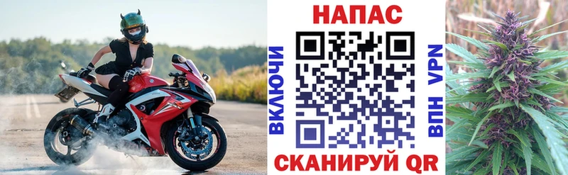 Шишки марихуана план  площадка формула  Алексин 